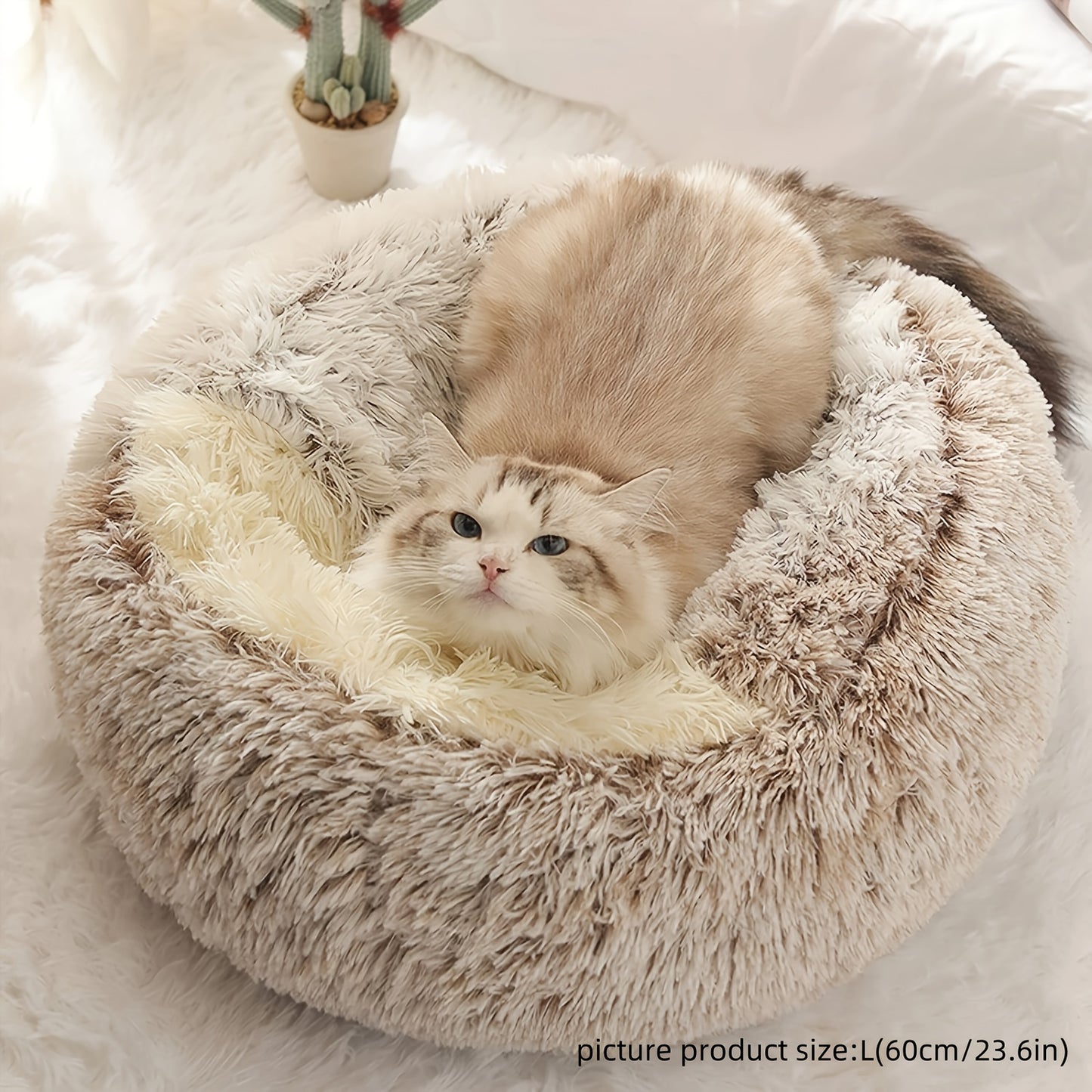 Soft & Cozy Round Donut Pet Bed for Cats